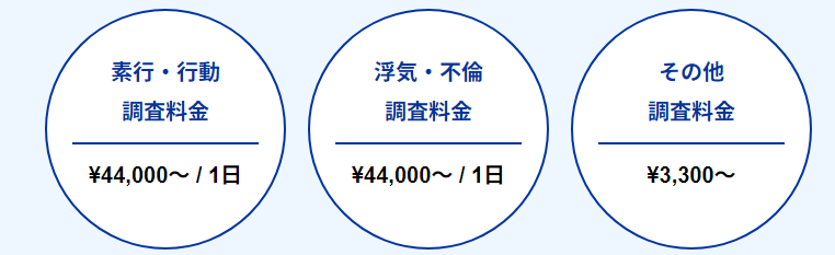 ピ・アイ・オの浮気調査料金の公式画像